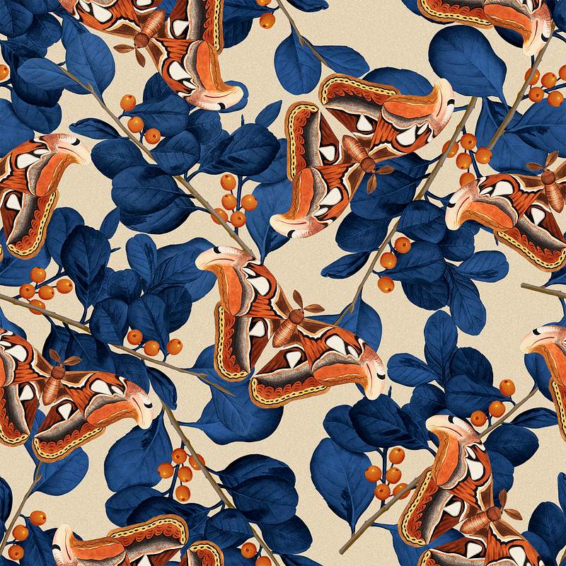 Seamless butterfly floral psd pattern,… | Royalty free stock Illustration | High Resolution graphic Seamless butterfly floral psd pattern, vintage remix from The Naturalist's Miscellany by George Shaw
