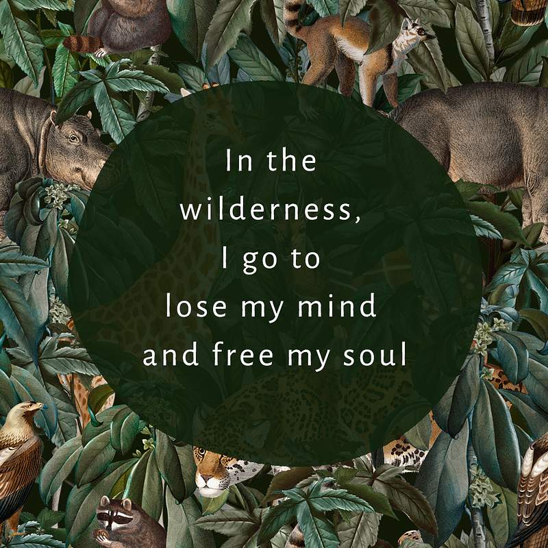 Jungle quote editable template psd wildlife… | Royalty free stock Illustration | High Resolution graphic Jungle quote editable template psd wildlife illustration for social media post