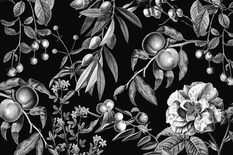 Vintage rose pattern psd black and white… | Royalty free stock Illustration | High Resolution graphic Vintage rose pattern psd black and white botanical and fruits illustration