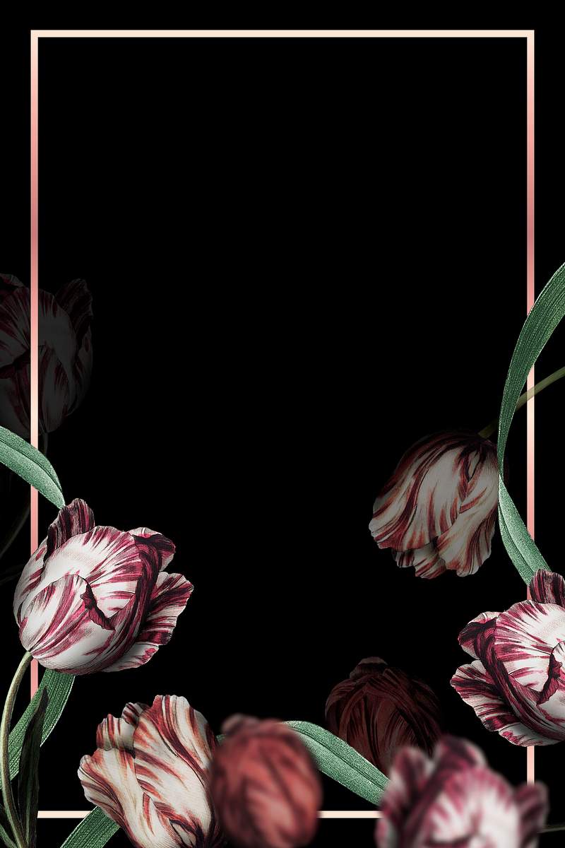 Free Photos Png Stickers Wallpapers Backgrounds Rawpixel Free Photos Png Stickers Wallpapers Backgrounds Rawpixel