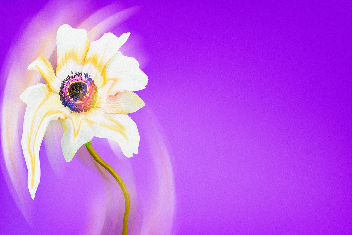 Aesthetic Background Purple Wallpaper White Free Photo Rawpixel