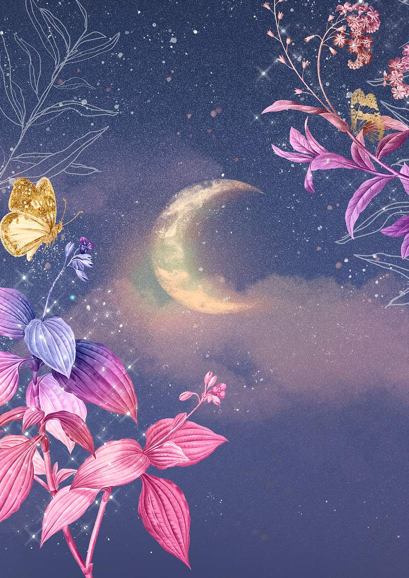 Butterfly Background Images | Free iPhone & Zoom HD Wallpapers