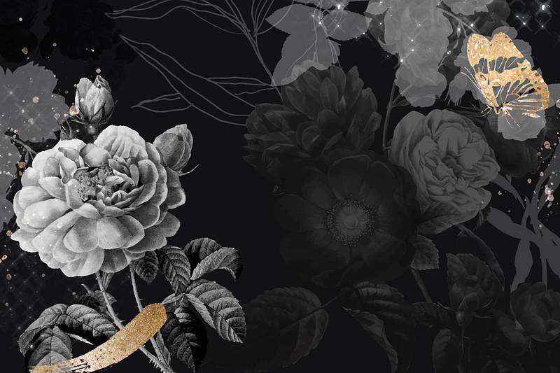 Black Rose Images | Free Photos, PNG Stickers, Wallpapers & Backgrounds -  rawpixel