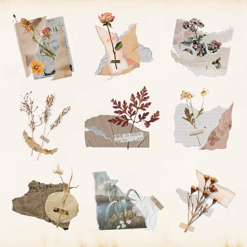 aesthetic journal printable stickers images free photos png stickers wallpapers backgrounds rawpixel