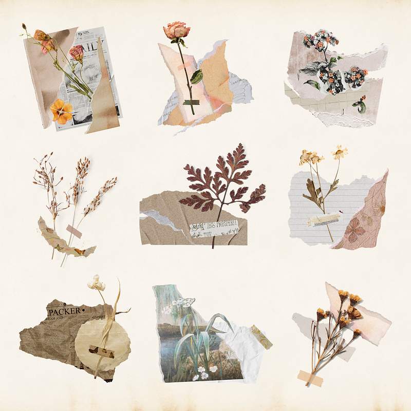 Torn Paper Images Free Photos Png Stickers Wallpapers Backgrounds Rawpixel Torn Paper Images Free Photos Png Stickers Wallpapers Backgrounds Rawpixel