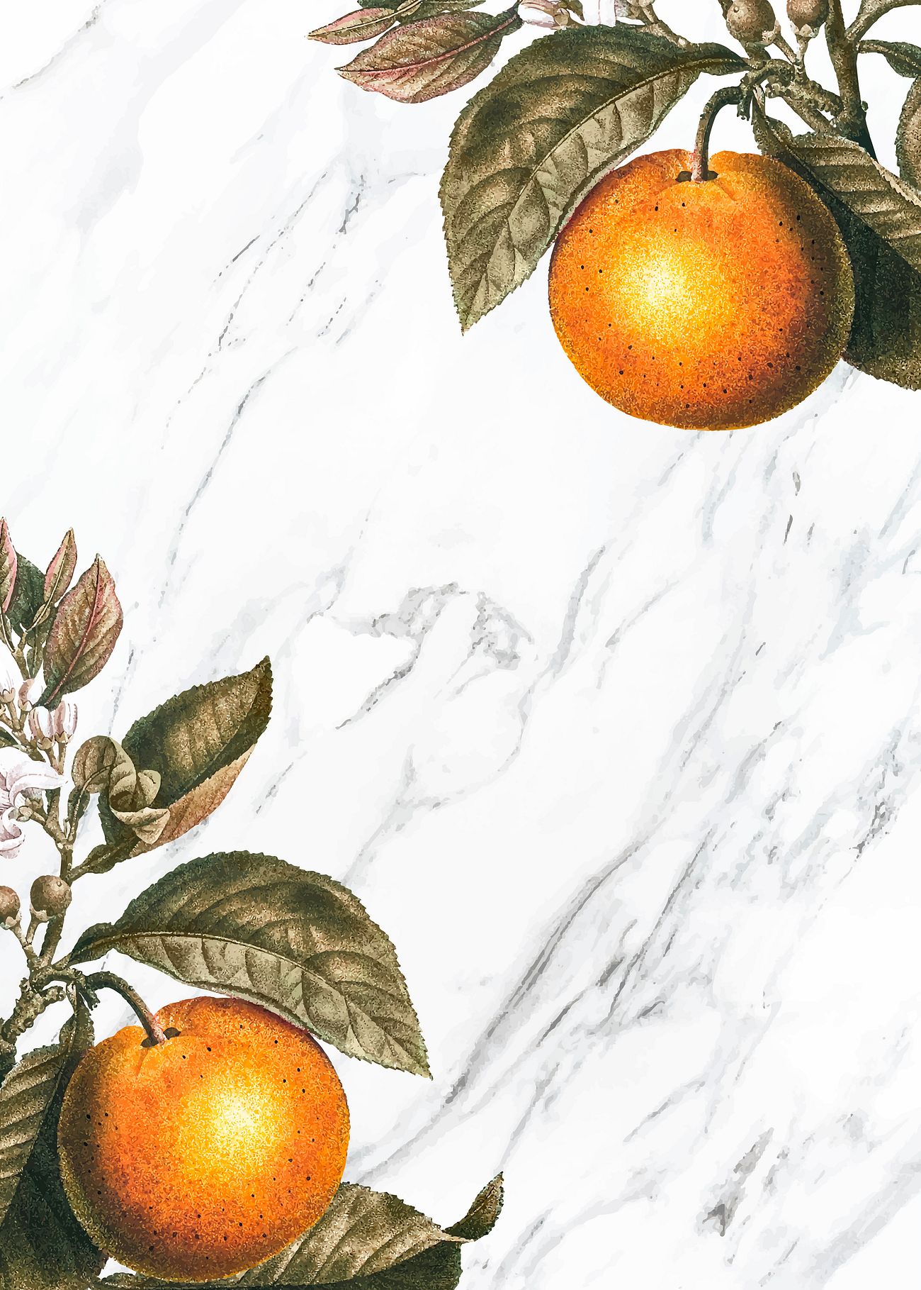 Orange tree background