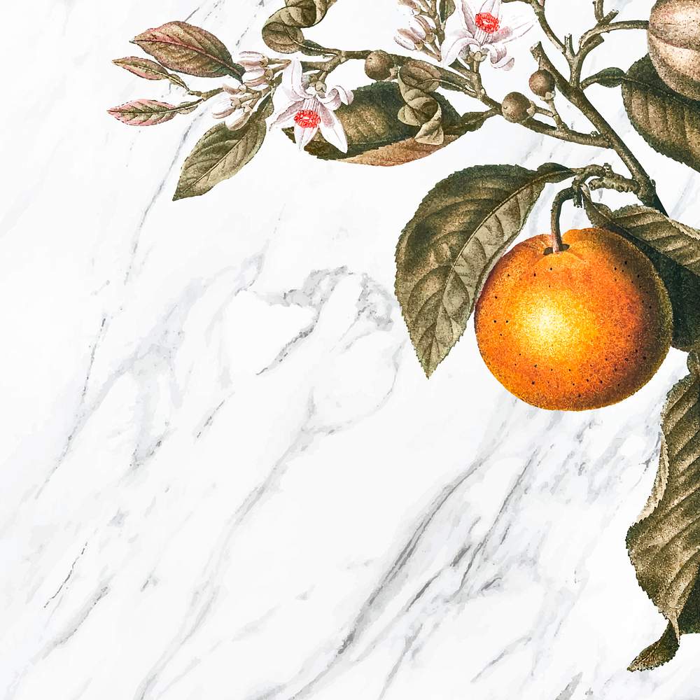 Orange tree background