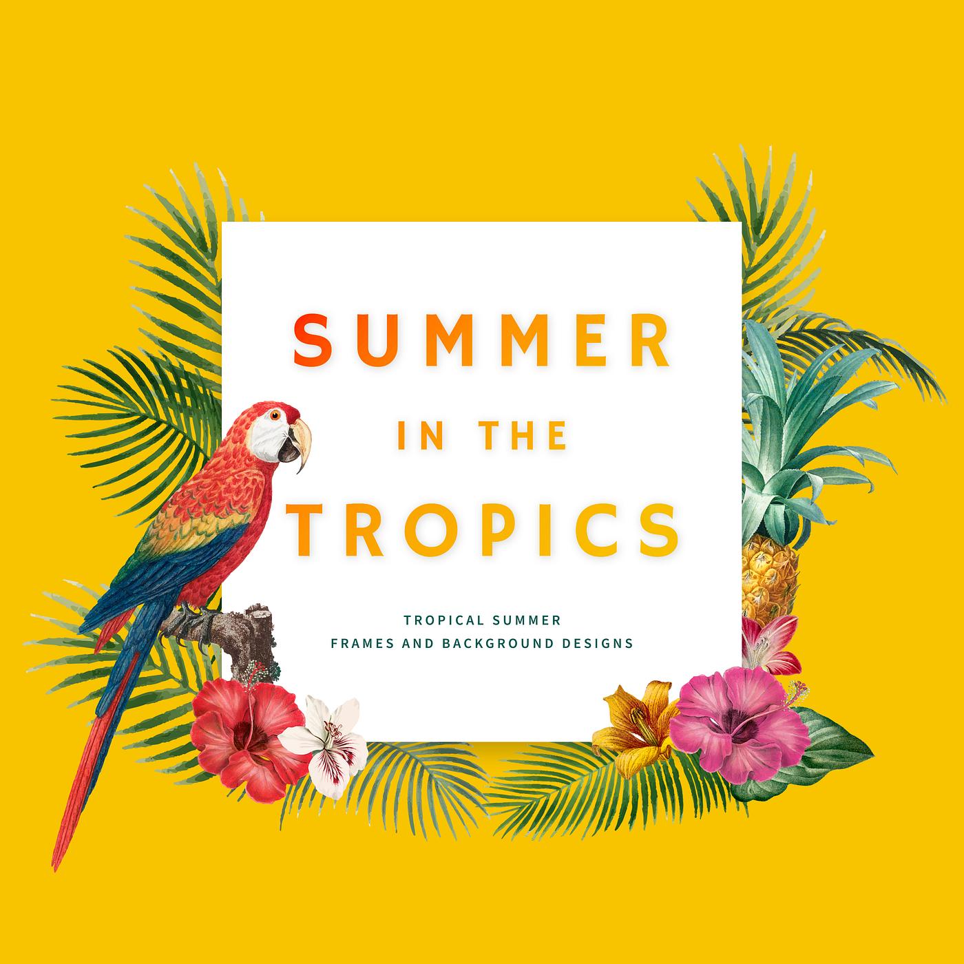 Summer in the tropics Tropical square frame on yellow background illustration