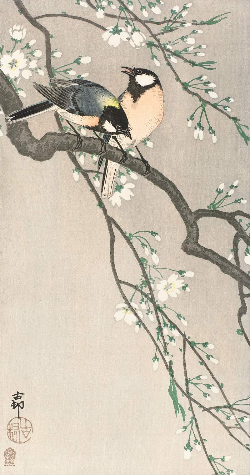 Ohara Koson Print Tits on Cherry Branch (1900–1910) by Ohara Koson. Original from The Rijksmuseum. Digitally enhanced by rawpixel.