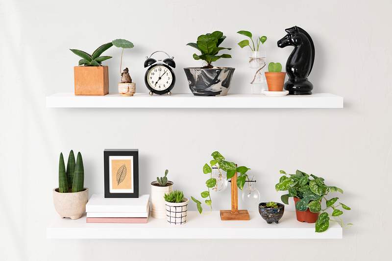 Download Shelf Mockup Images Free Vectors Pngs Mockups Backgrounds Rawpixel