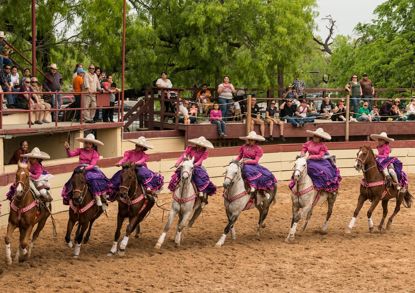 Scene from a Charrería, sometimes called a "Mexican rodeo," at "A Day in Old Mexico," one of... Scene from a Charrería, sometimes called a "Mexican rodeo," at "A Day in Old Mexico," one of...