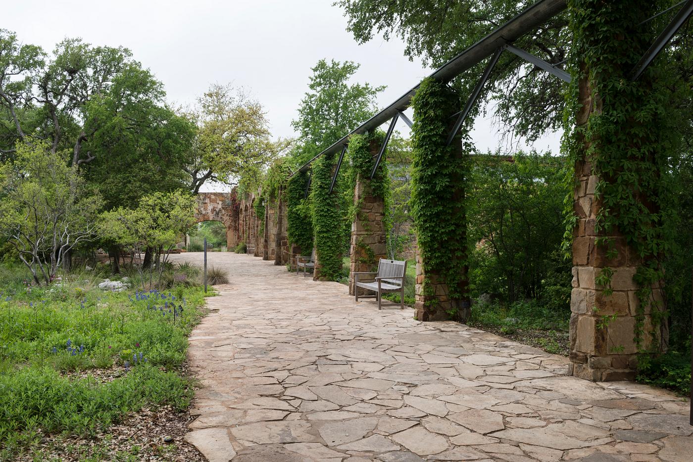 Scene from the Lady Bird Johnson Wildflower Center, part of the University of Texas at Austin but located 10 miles south of... Scene from the Lady Bird Johnson Wildflower Center, part of the University of Texas at Austin but located 10 miles south of...