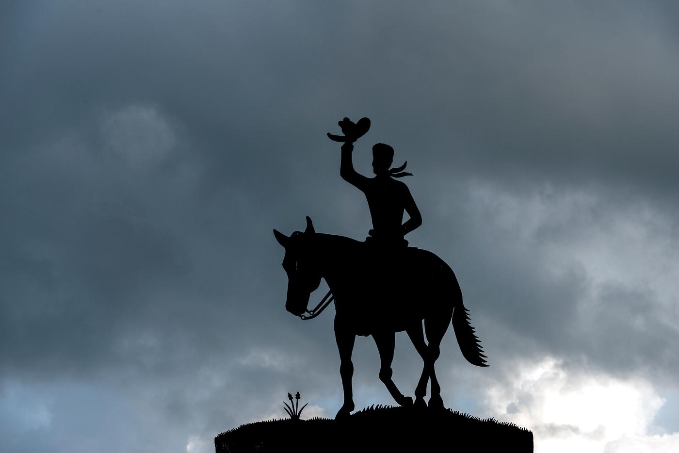 Carol M. Highsmith’s Texas Photograph Metal art along the road from Johnson City to Kerrville, Texas. Original image from Carol M. Highsmith’s America,...