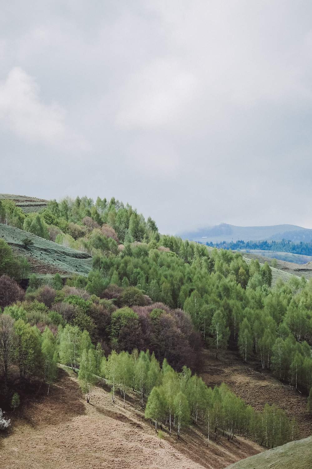 Hillside Images | Free Vectors, PNGs, Mockups & Backgrounds - rawpixel