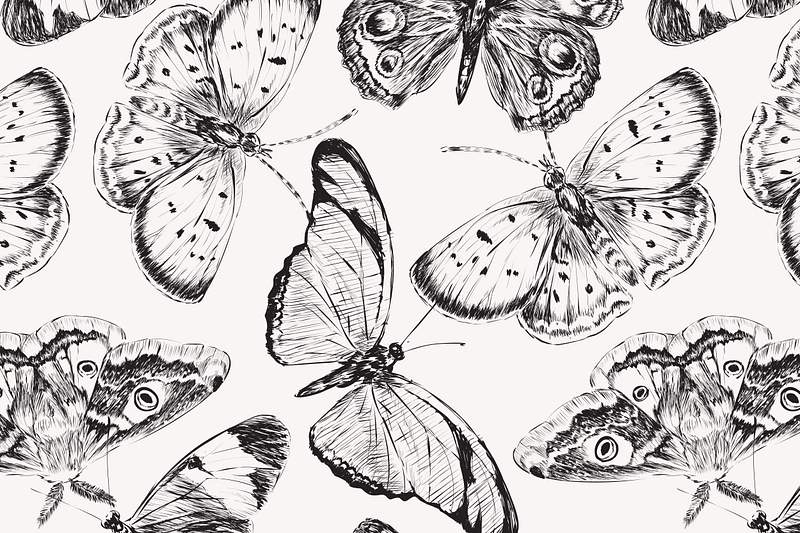 Butterfly Background Images | Free iPhone & Zoom HD Wallpapers & Vectors -  rawpixel