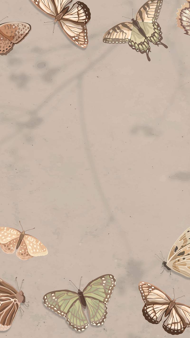 Butterfly Iphone Wallpaper Images | Free Photos, PNG Stickers ...