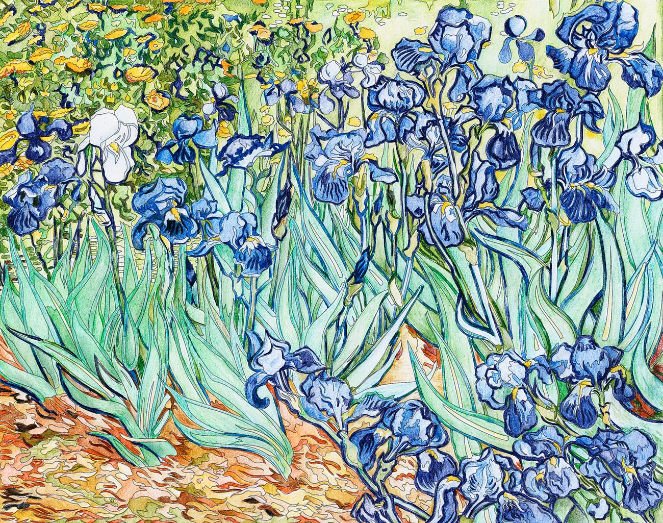 Irises 1889 By Vincent Van Gogh Adult Coloring Page Free