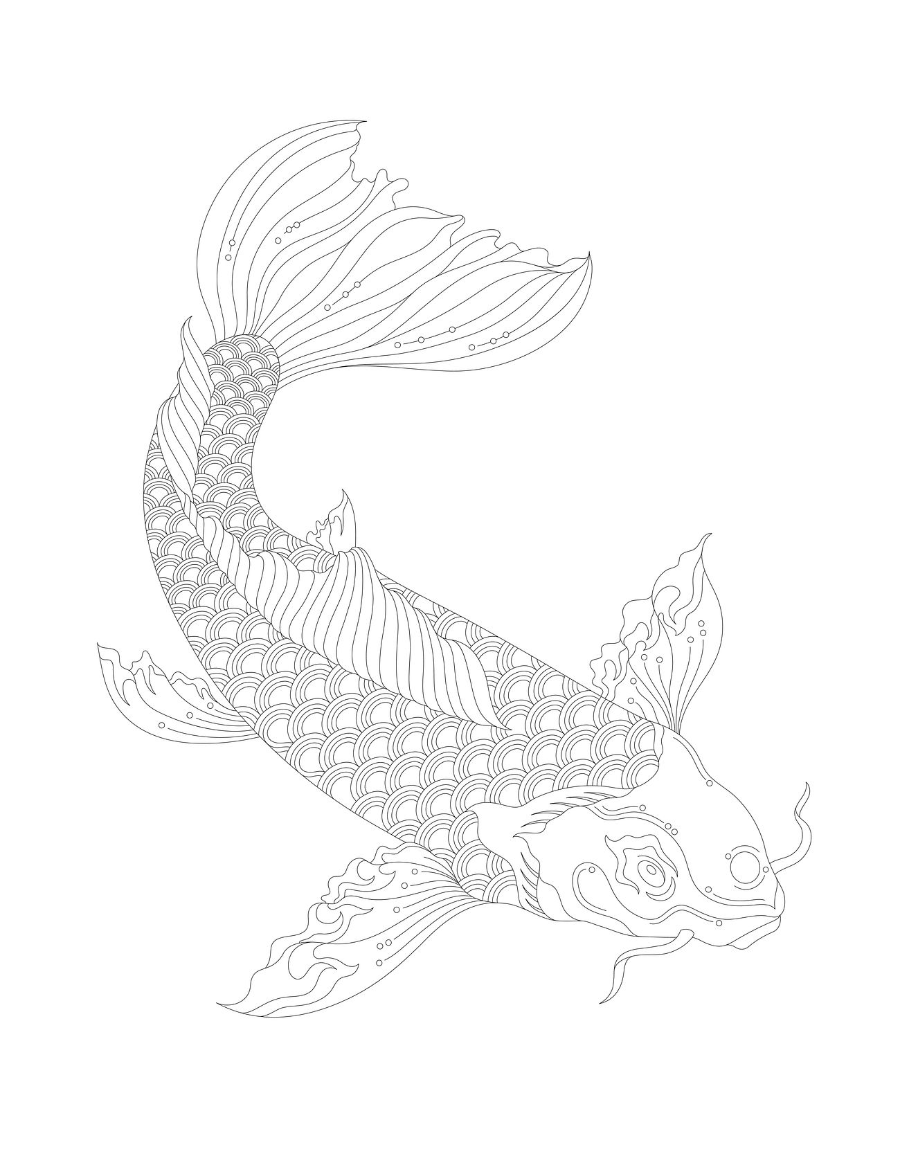 Japanese Koi Adult Coloring Page Free Vector 428474