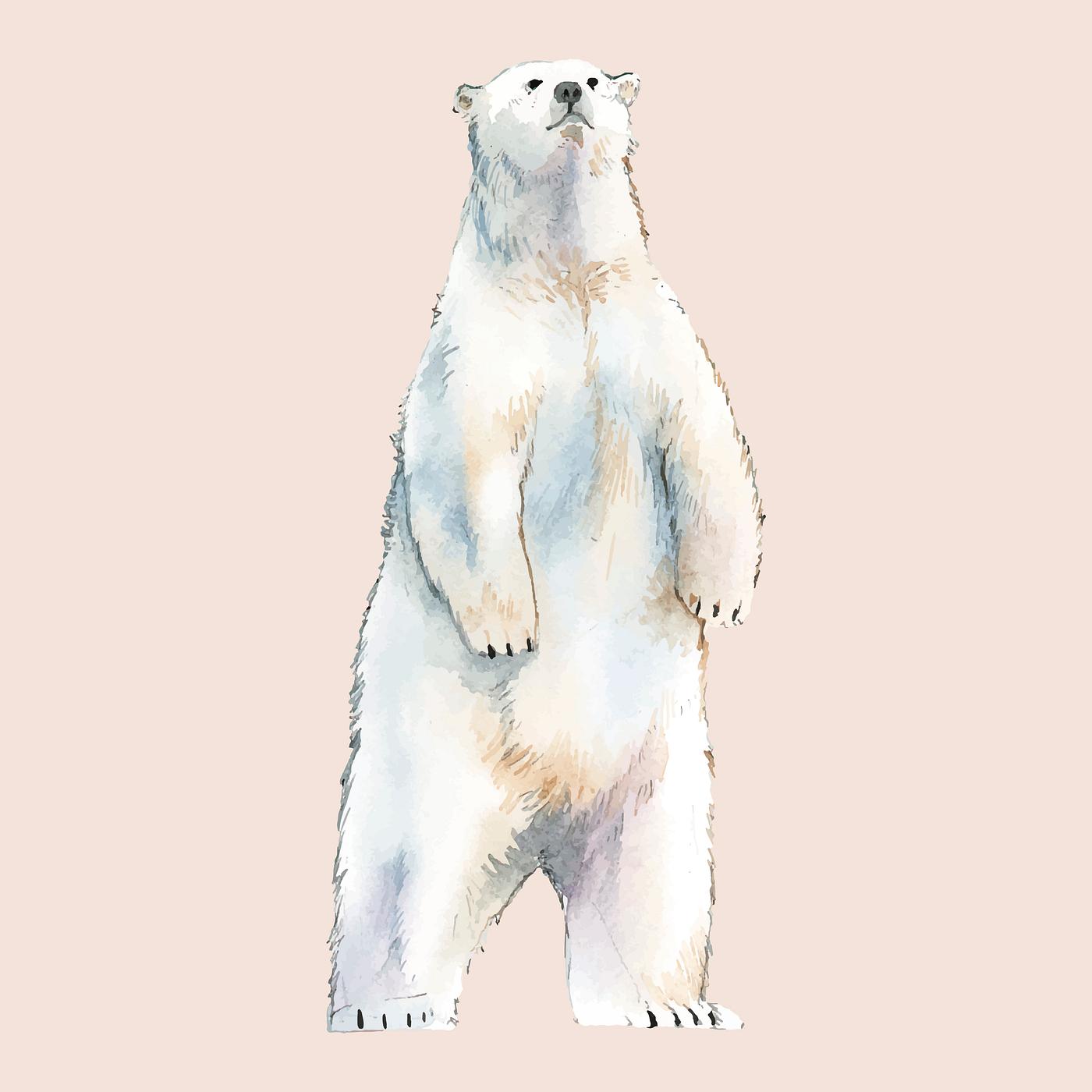 Polar Bear Watercolor Style Vector Free Stock Vector 489223