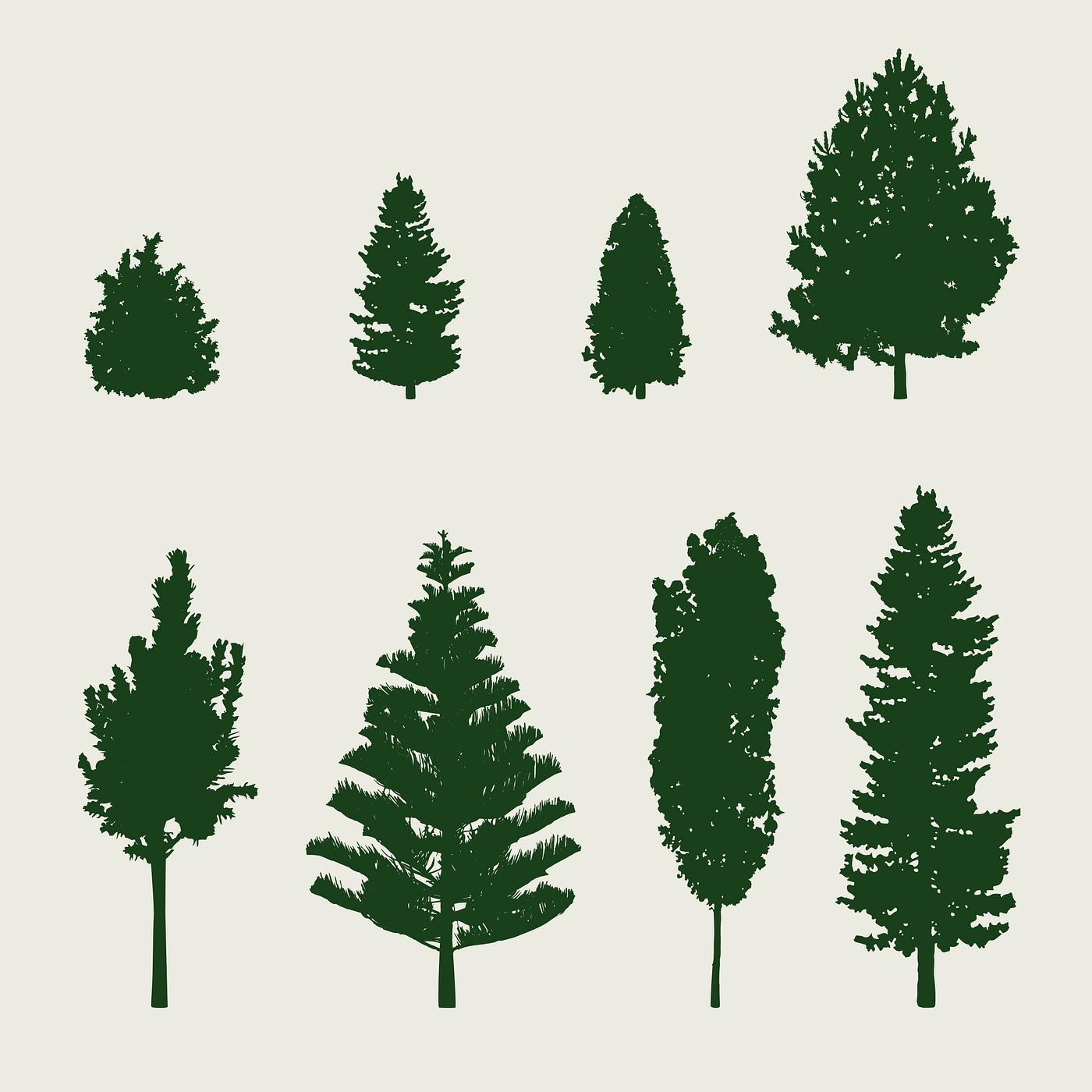 Download Collection of pine tree silhouettes vector | Free stock ...