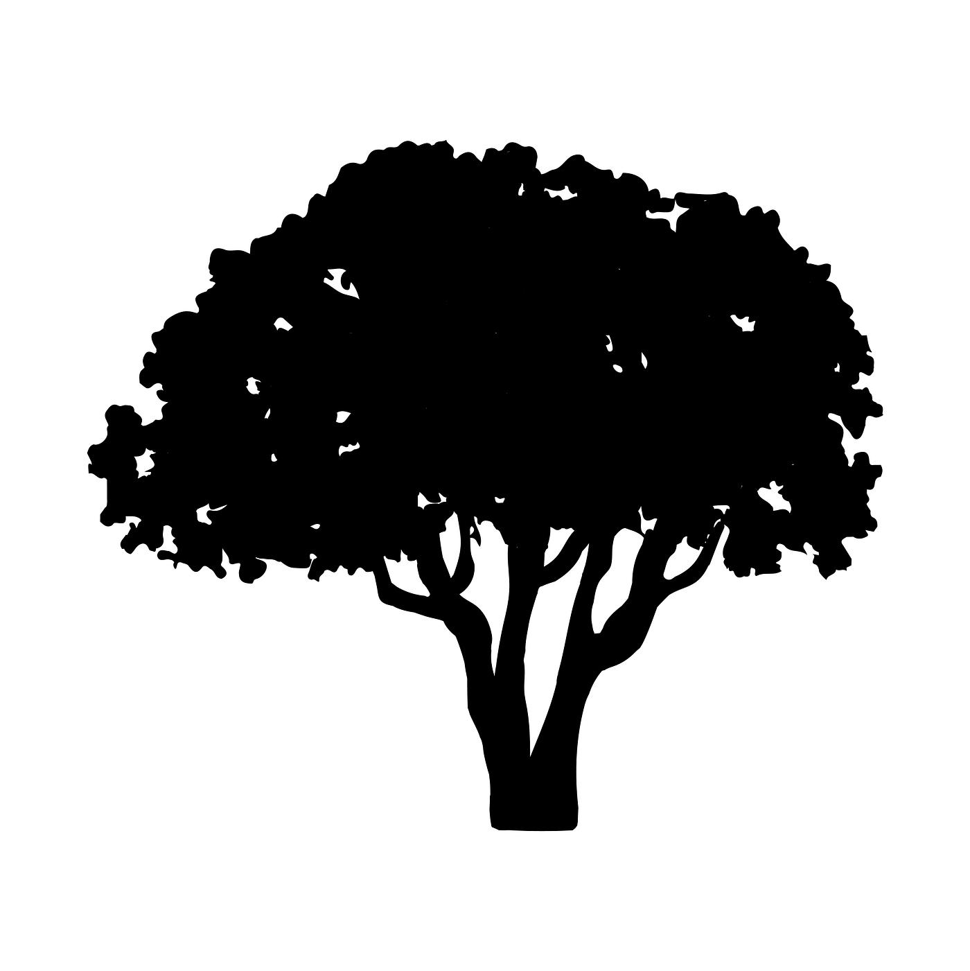 Download Olive tree silhouette on white background | Free stock ...