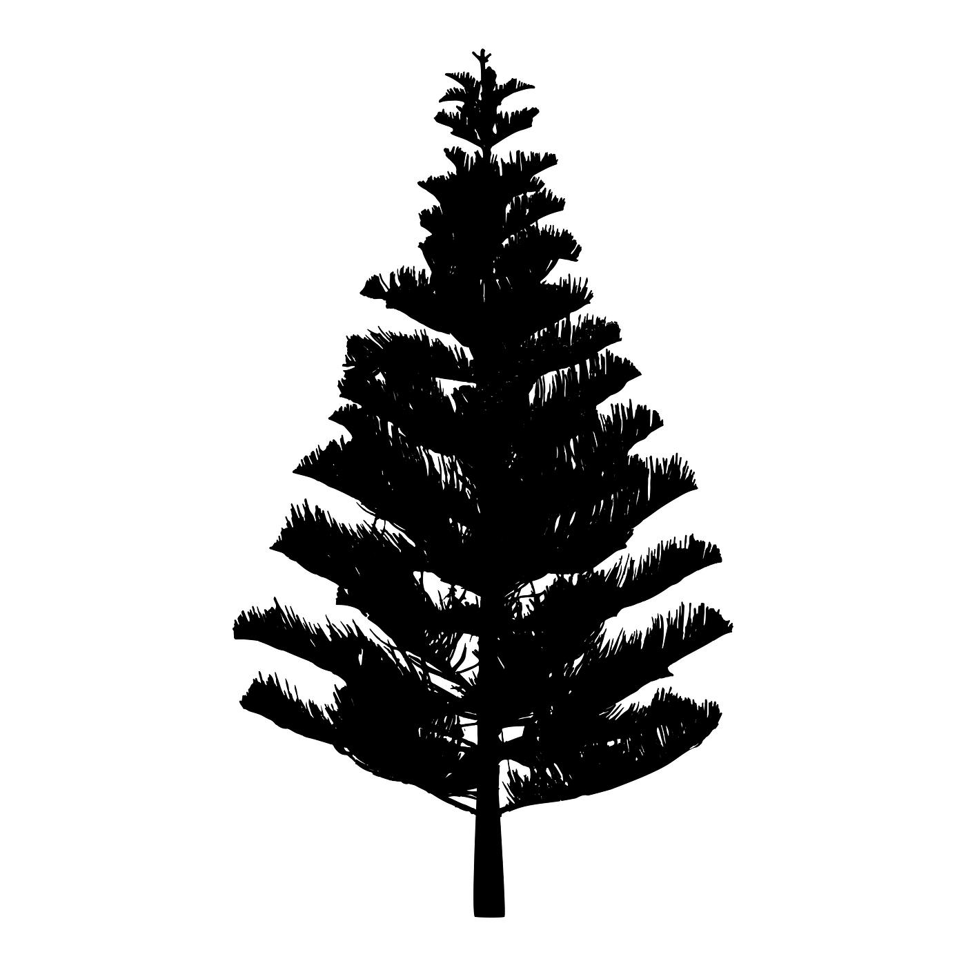 Download Pine tree silhouette on white background | Free stock ...