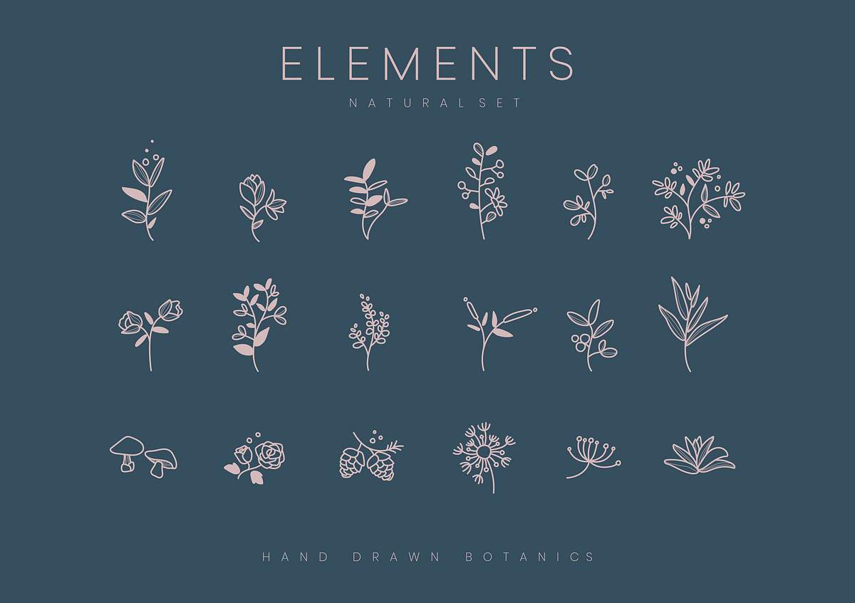 Set of hand drawn botanical elements vector | Free vector - 523488