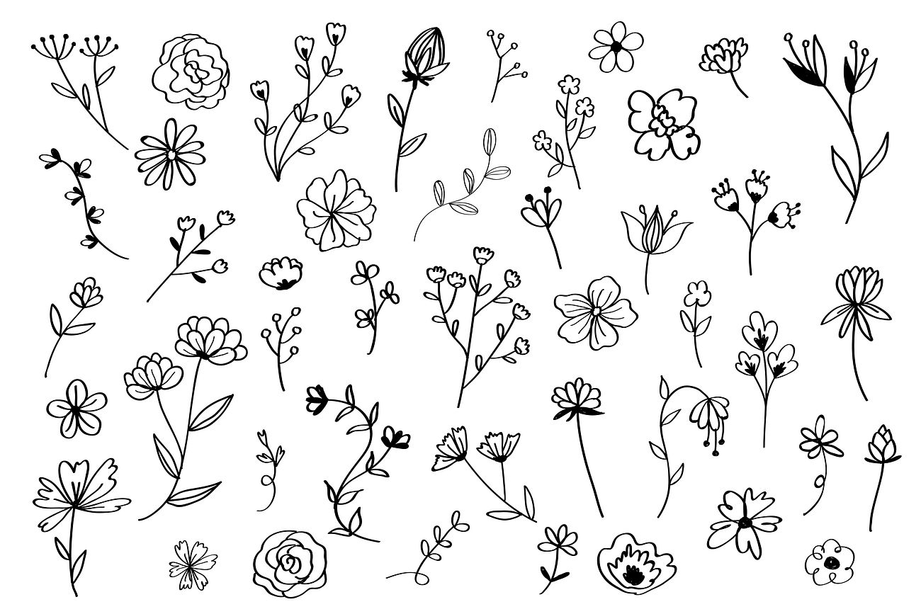Flower Line Vectors | Free Illustrations, Drawings, PNG Clip Art