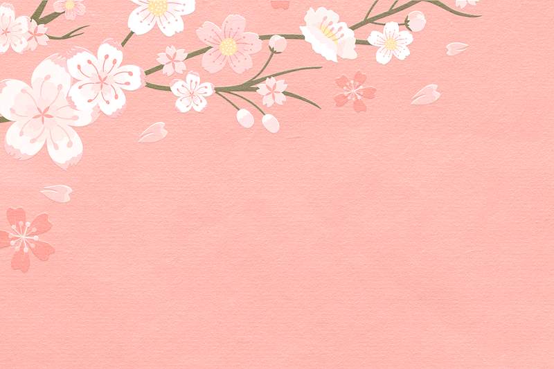 Cherry Blossom Background Images | Free iPhone & Zoom HD Wallpapers &  Vectors - rawpixel