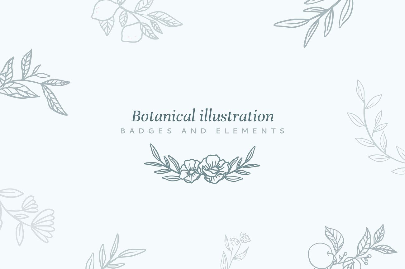 Sketches - botanical by Laura Hamilton | rawpixel