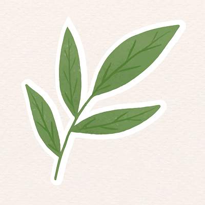 Green leaf sticker | Royalty free stock vector