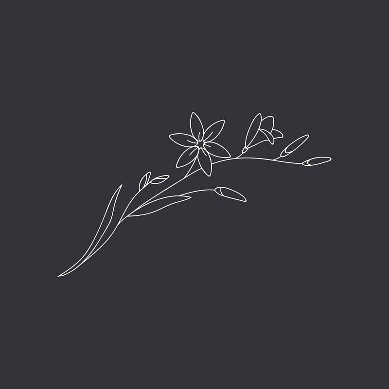 White Flower Line Drawing Images | Free Photos, PNG Stickers