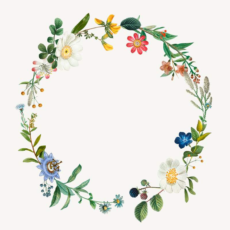 Floral Border Designs | Free Vector Graphics, Clip Art, PSD & PNG