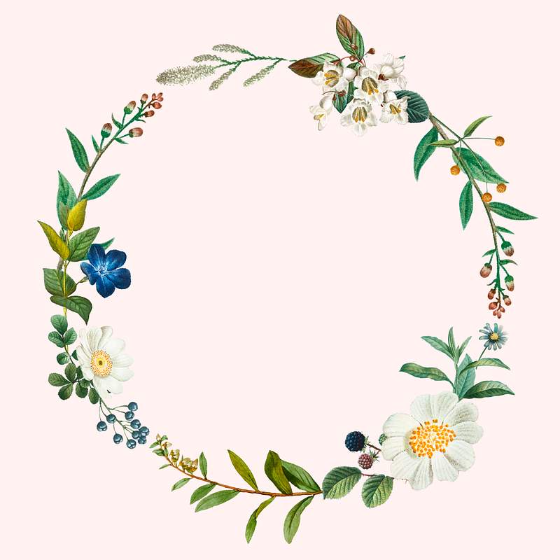 Download Watercolor Floral Wreath Round Frame Images Free Vectors Pngs Mockups Backgrounds Rawpixel