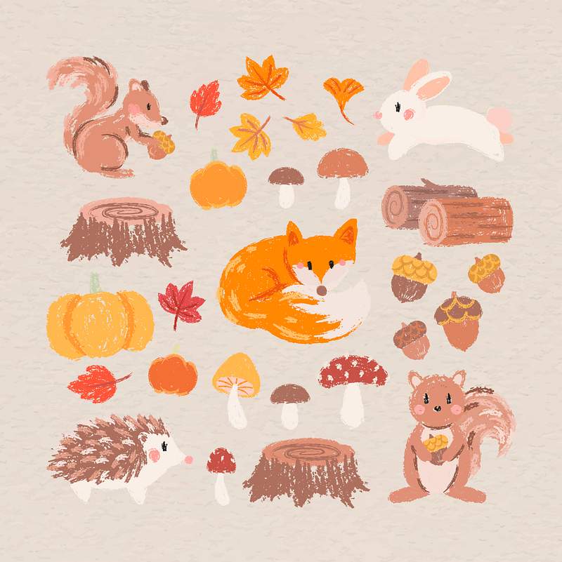 Royalty Free Autumn Stock Photos Rawpixel