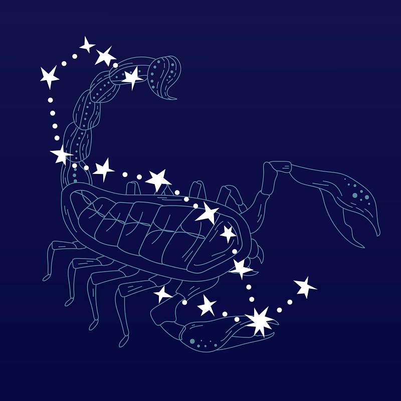 Scorpio astrological sign design vector | Premium Vector - rawpixel