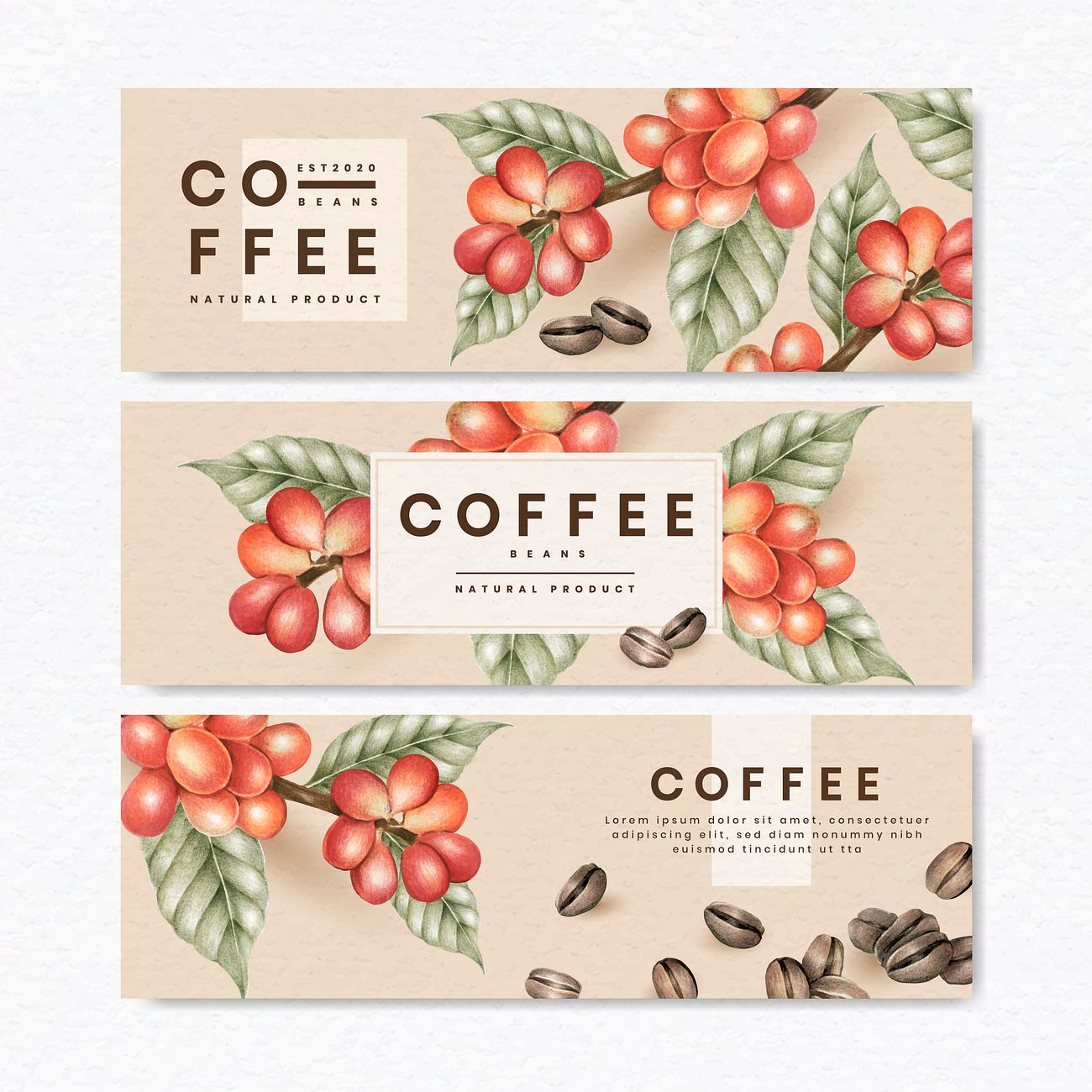 Download Coffee beans banner | Royalty free vector - 1206657