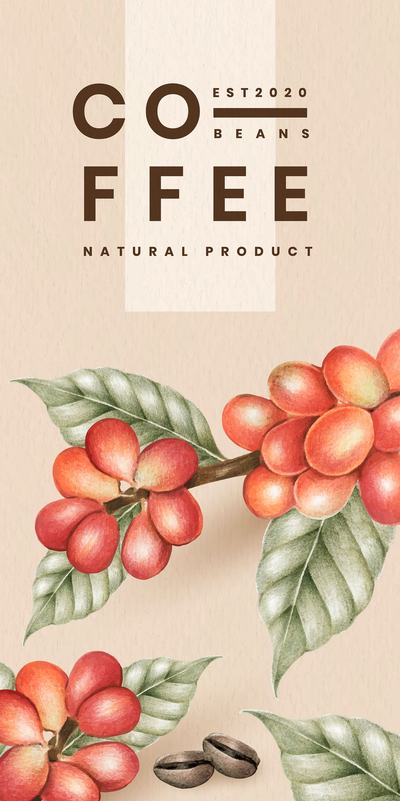 Download Coffee beans banner | Royalty free vector - 1206644