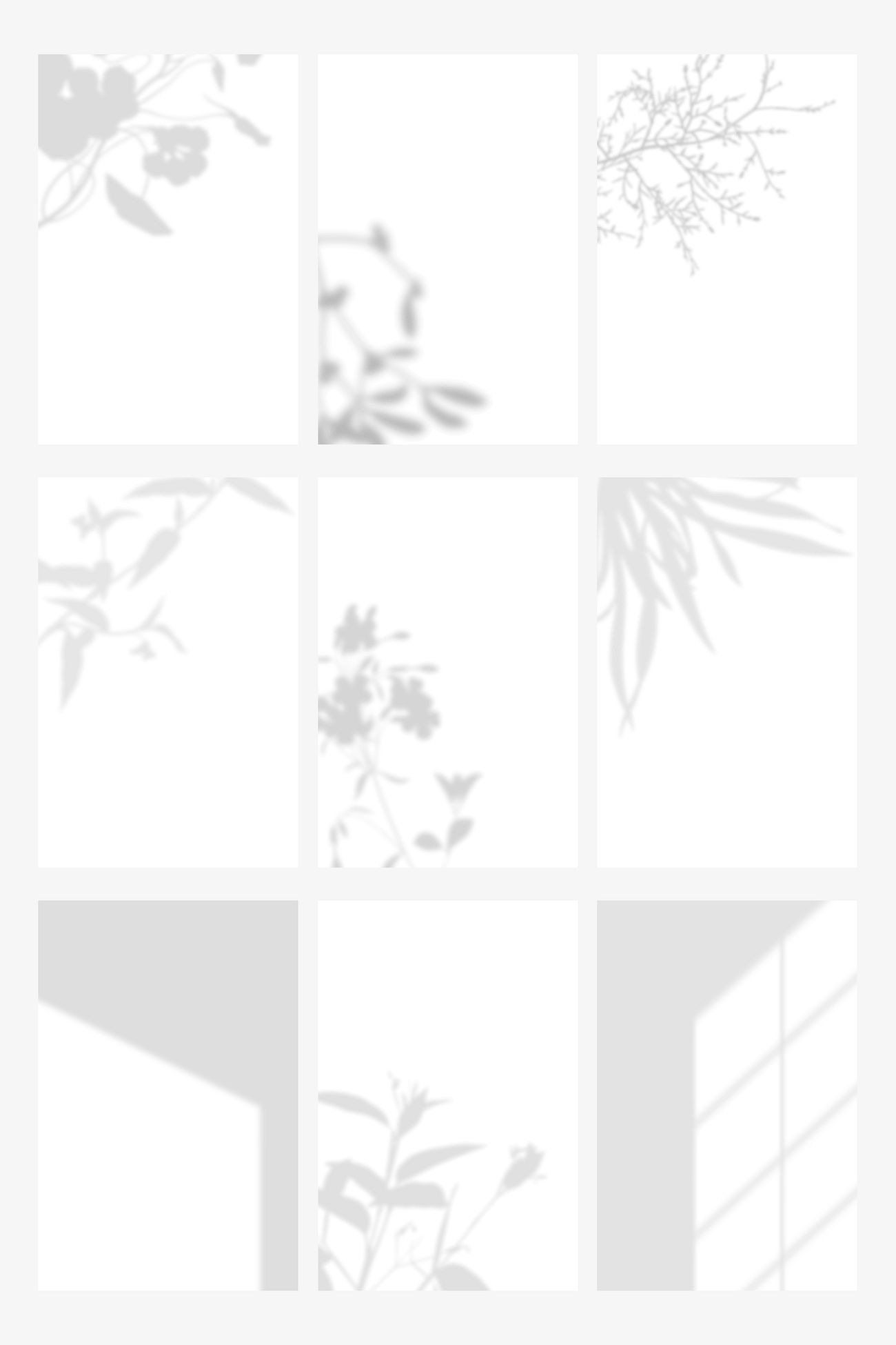 Plant Shadow Wall Images | Free Photos, PNG Stickers, Wallpapers