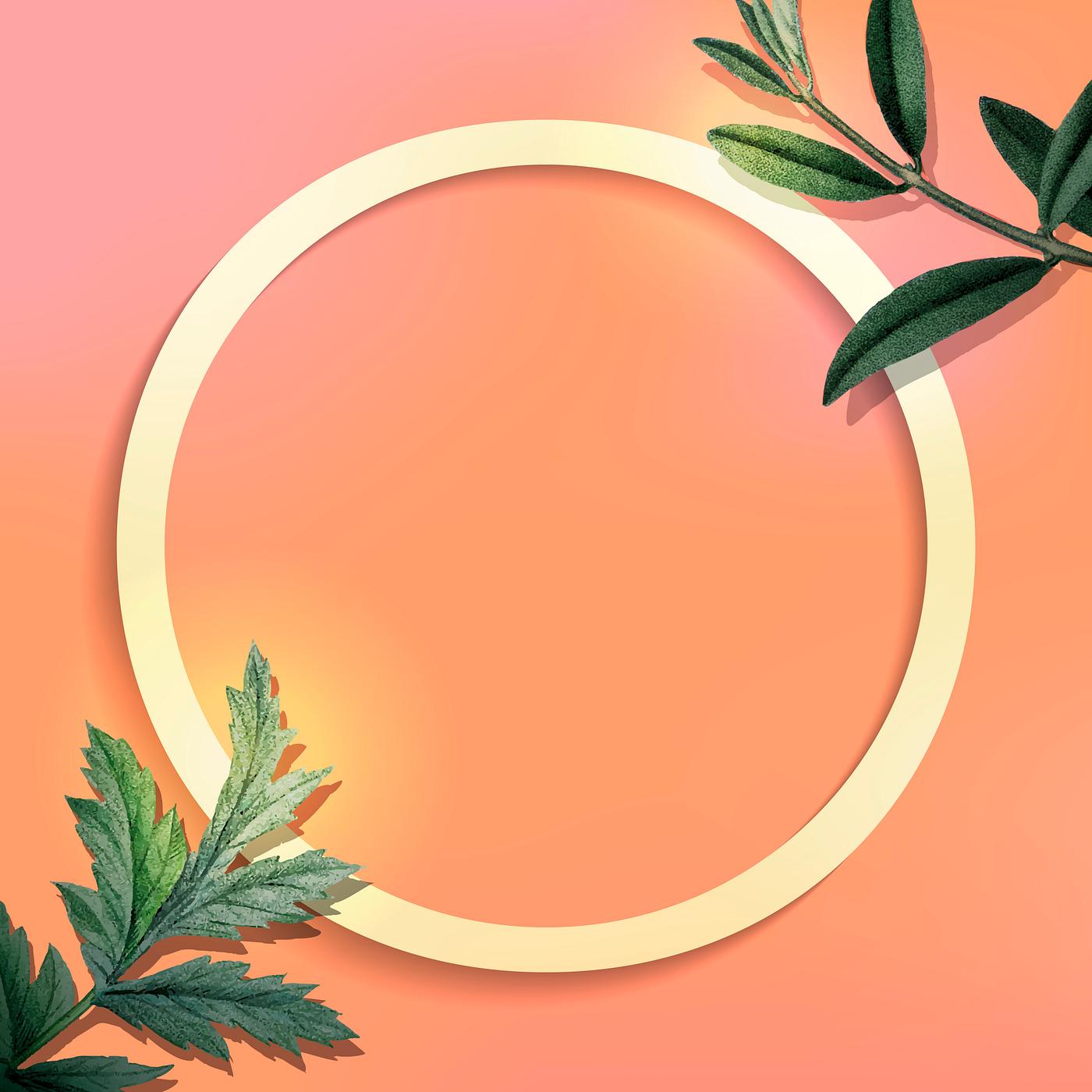 Golden botanical frame Round gold frame with green leaves on orange background vector