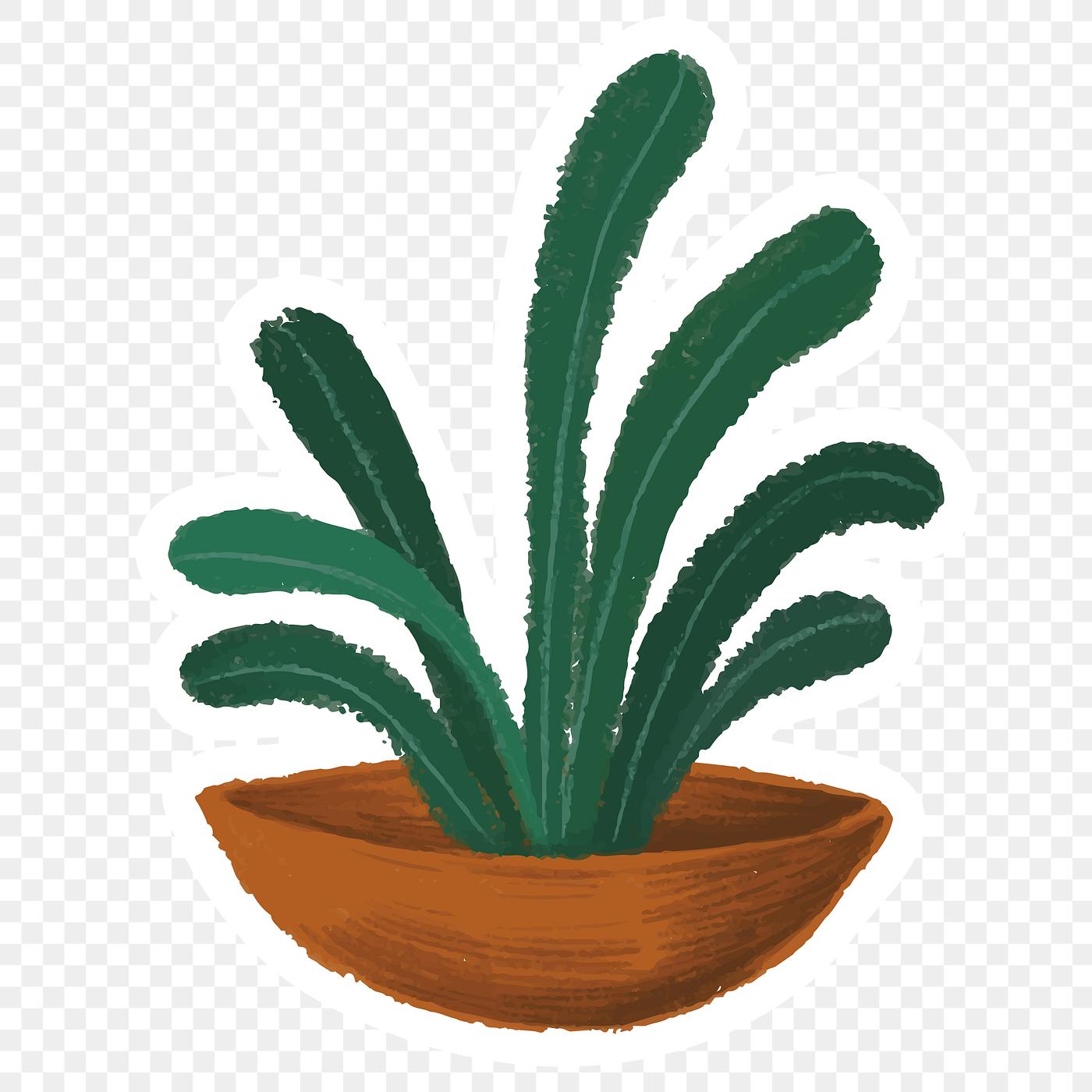 Transparent Plants Illustration Png - Download Illustration 2020