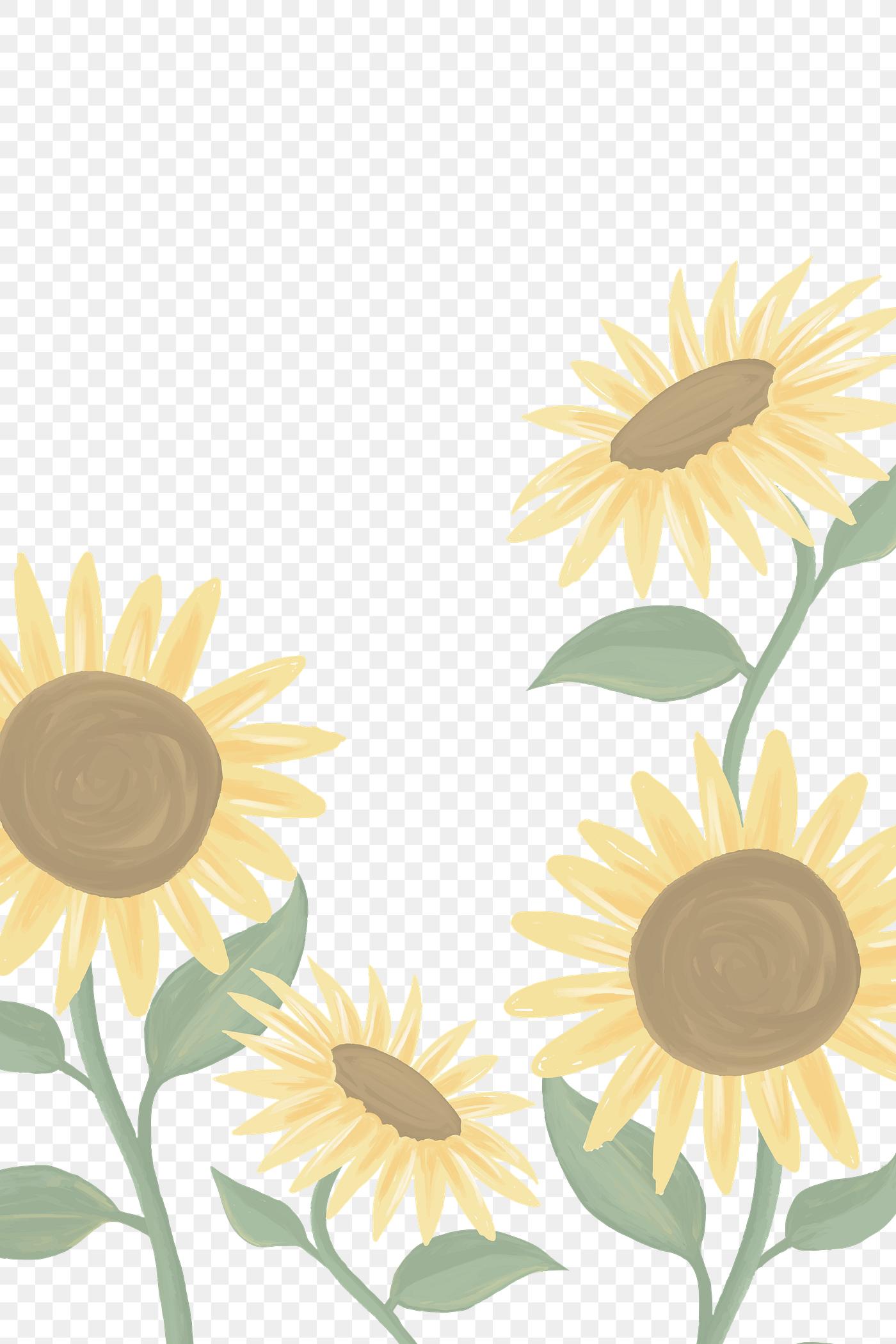 Download Sunflower pattern transparent png | Royalty free stock ...