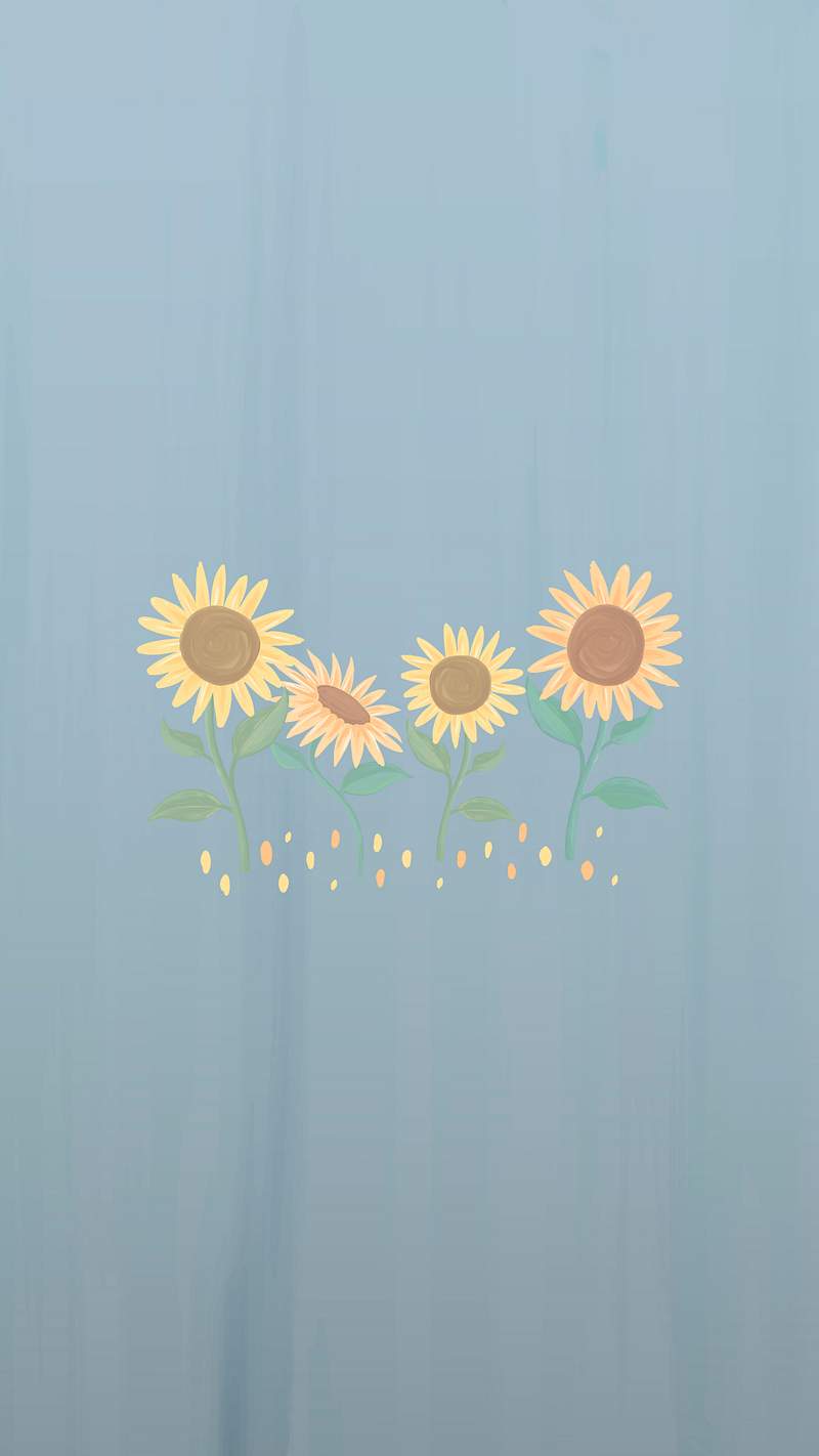 Minimalist Iphone Wallpaper Sunflower Images | Free Photos, PNG
