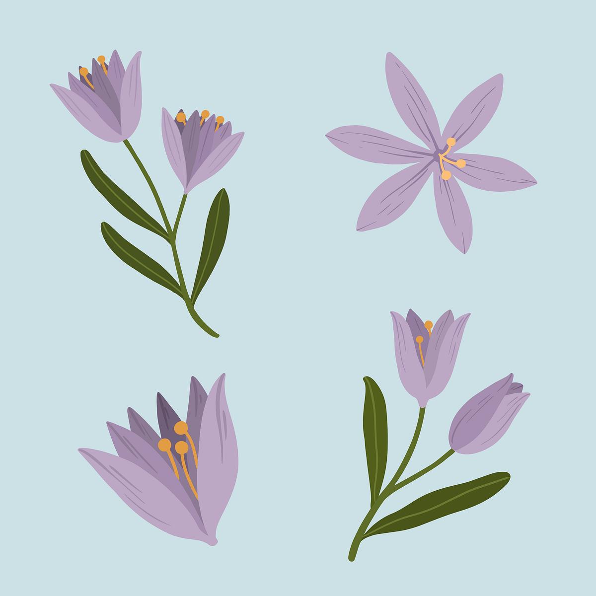 Blooming purple flower on a blue | Free Photo - rawpixel