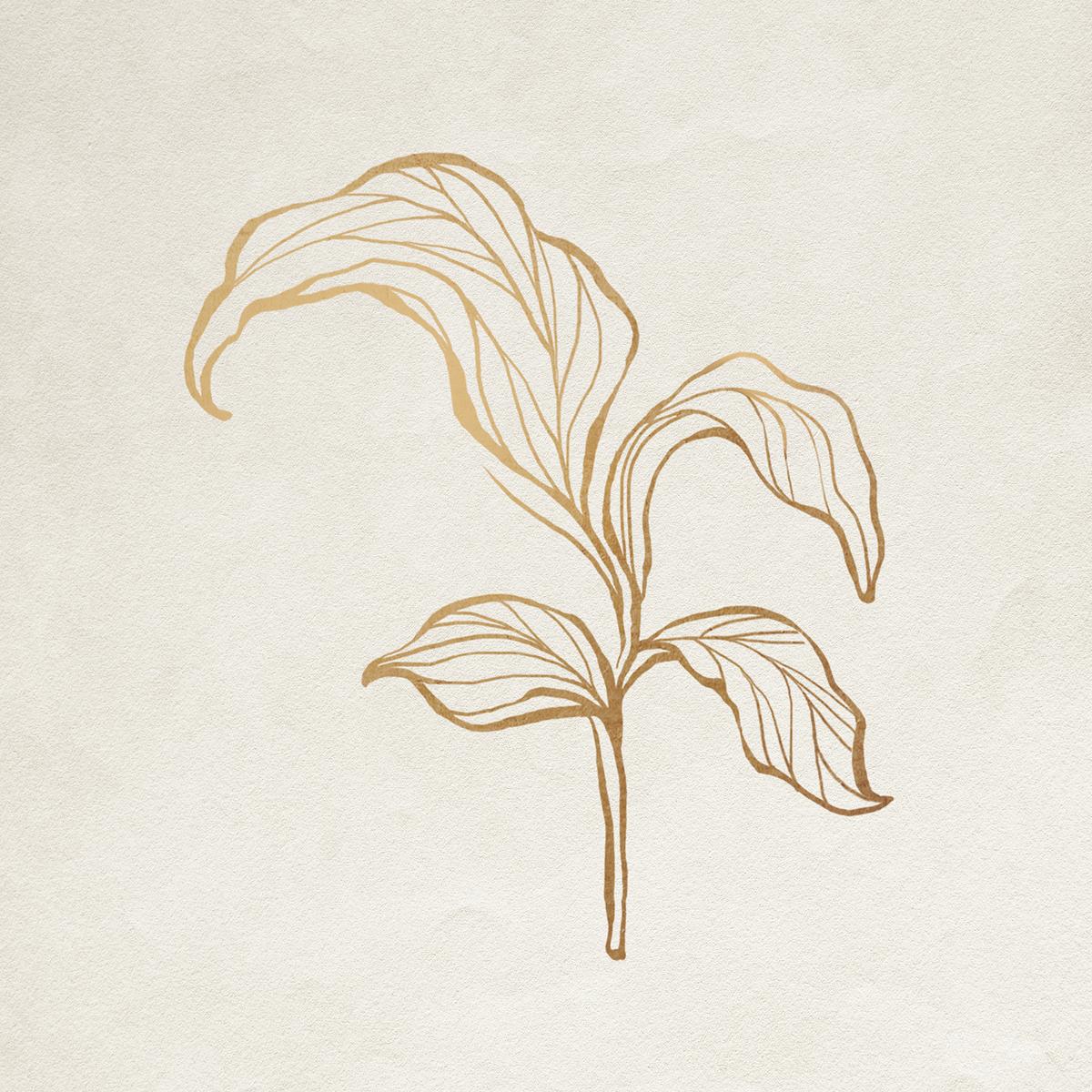 Golden Leaf Png Golden Leaf Png