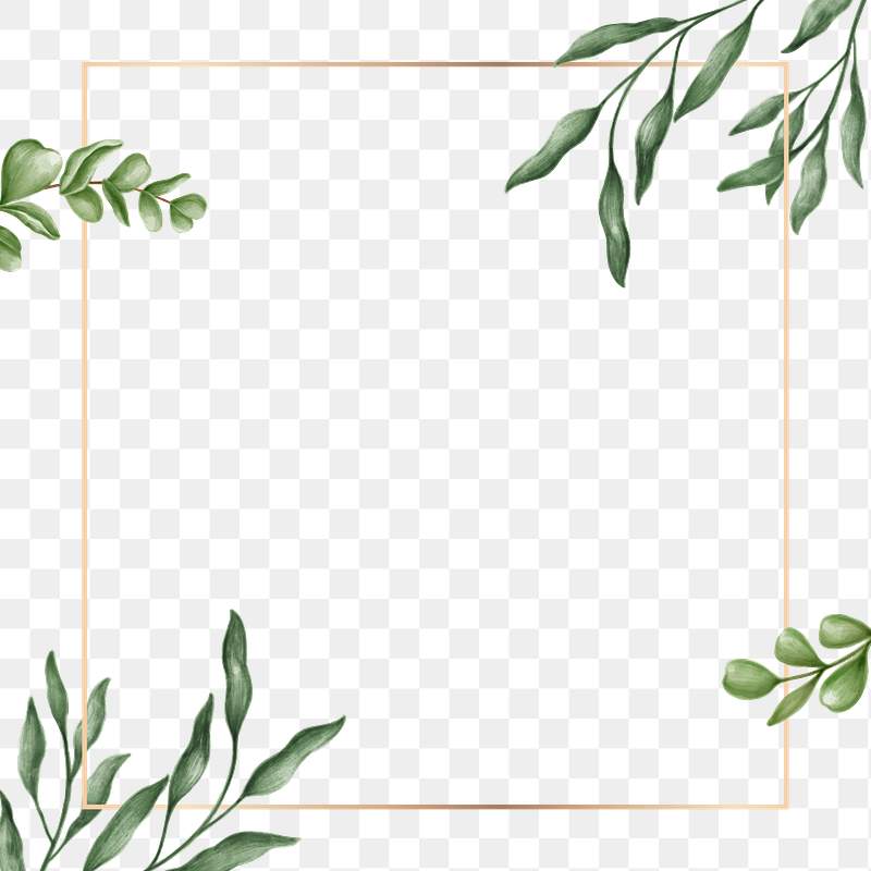 Search Free Stock Photos Psd Mockups Vectors Rawpixel