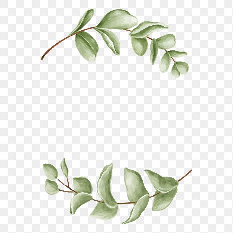 Botanical Wreath Png Royalty Free Stock Transparent Png 2032914