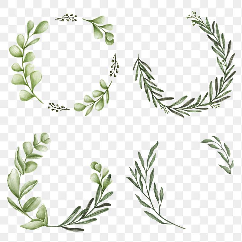 Botanical Wreath Png Royalty Free Stock Transparent Png 2032914