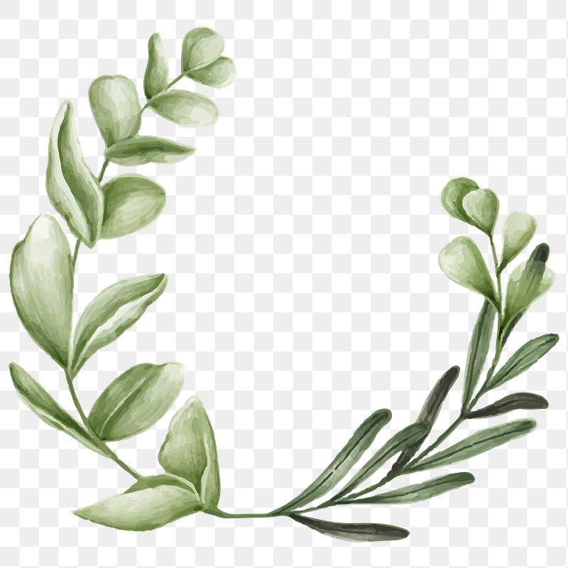 Leaf Wreath Png Green Leaves Wreath Clipart Greenery Circle Botanical Bay Laurel 4976062 Vippng
