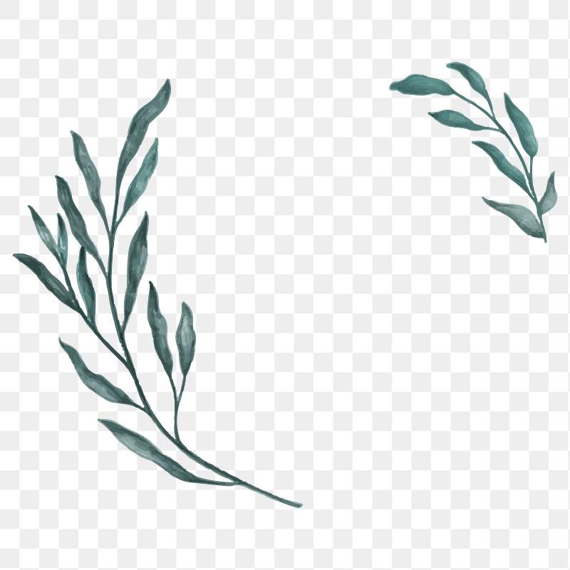 Botanical Wreath Png Royalty Free Stock Transparent Png 2032914